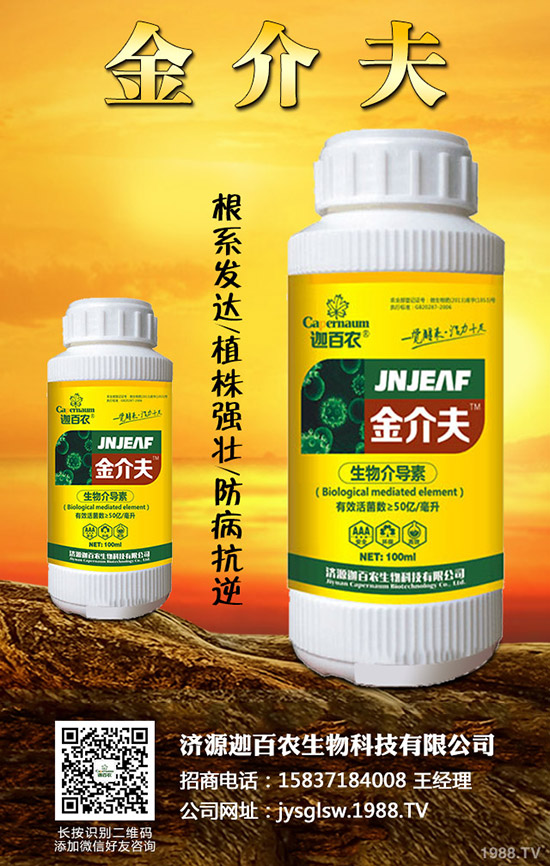 ���������o��������ô�k�������o���������\���c���Σ�