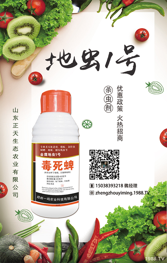 �����}����ηNֲ�������}����Ҫע��ʲô��