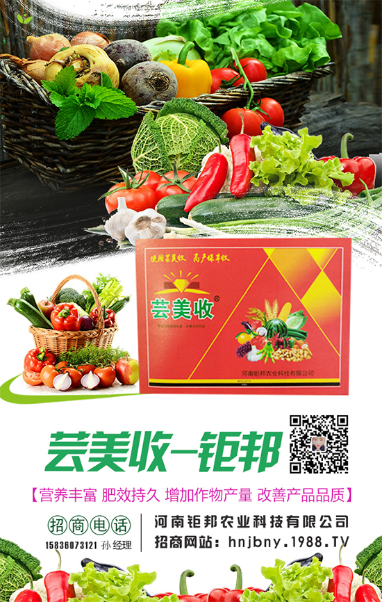 �����}�����L���h(hu��n)���l��Ҫ���������}����ôʩ����