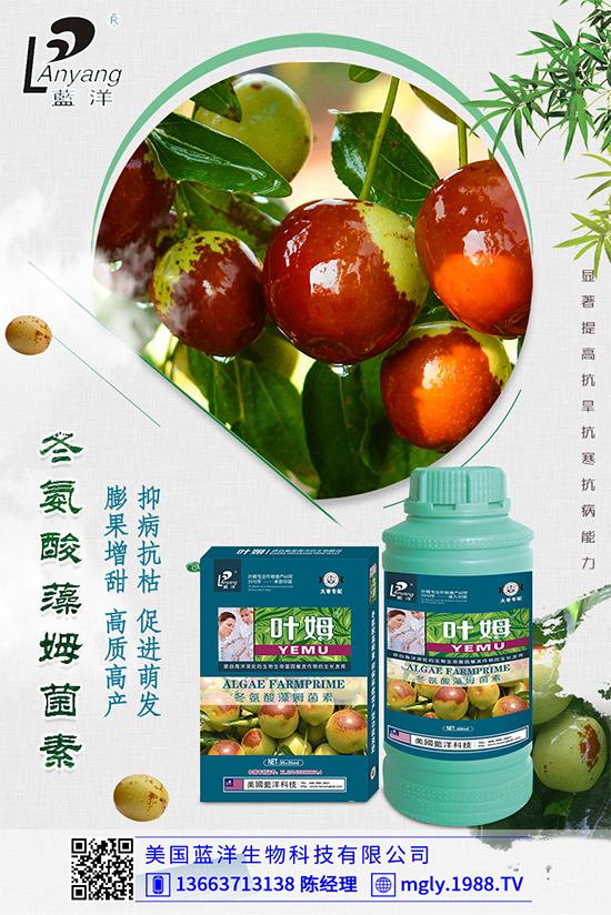 �ײ�ܛ�������������ģ�����ЩΣ�����ײ�ܛ�����İl(f��)���c����