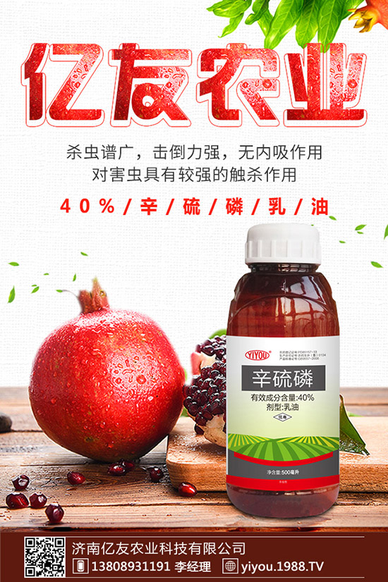 �D÷�N����ô�N���D÷�N�ӷNֲ������