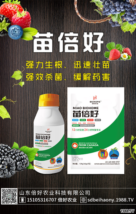 С�����N�󲻳����������ԭ����������С��������?