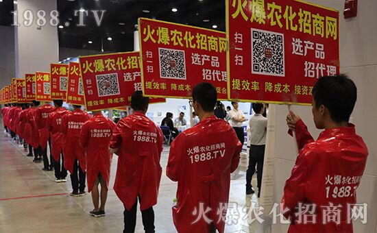 ǧ�̅R������Ʒ�Ƽ�|2019�����r(n��ng)����ʢ���_Ļ��