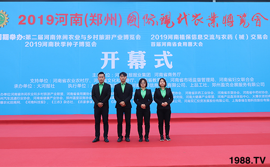 ǧ�̅R������Ʒ�Ƽ�|2019�����r(n��ng)����ʢ���_Ļ��