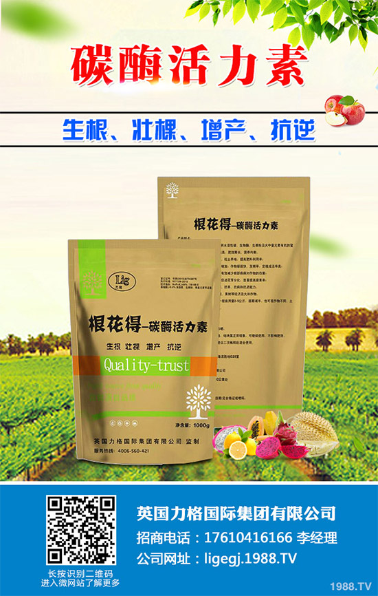 油麥菜什么時(shí)候種植？油麥菜高產(chǎn)種植技術(shù)要點(diǎn)