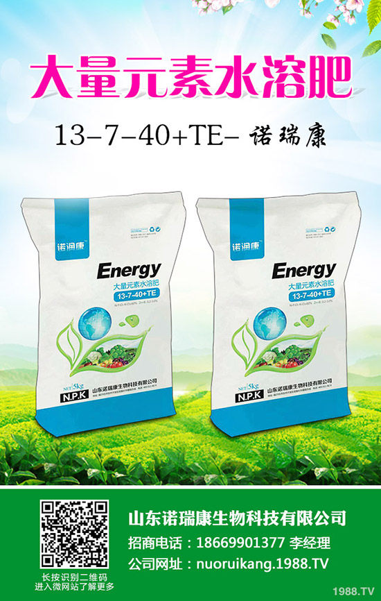 2019年10月28日今日最新復(fù)合肥價(jià)格行情動(dòng)態(tài)早報(bào)