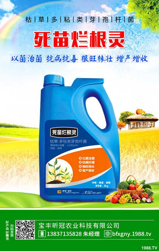 ��ô�Nֲ�_�h�����_�h���Nֲ������B��