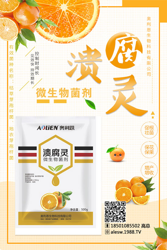 ����ʲô�r��N������Nֲ���g(sh��)���Nֲ�l��