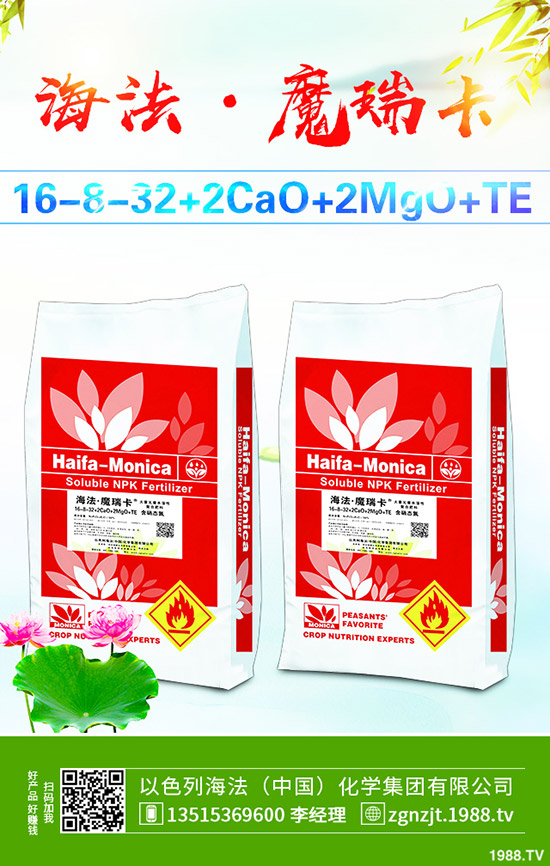     2019��10��31�ս��Շ���(n��i)���@�r(ji��)���߄ݼ��������u(p��ng)