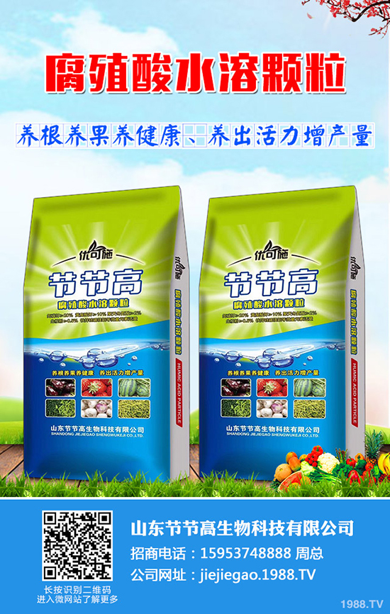     ���ص��ݷž���2019��10��ĩ�����������������