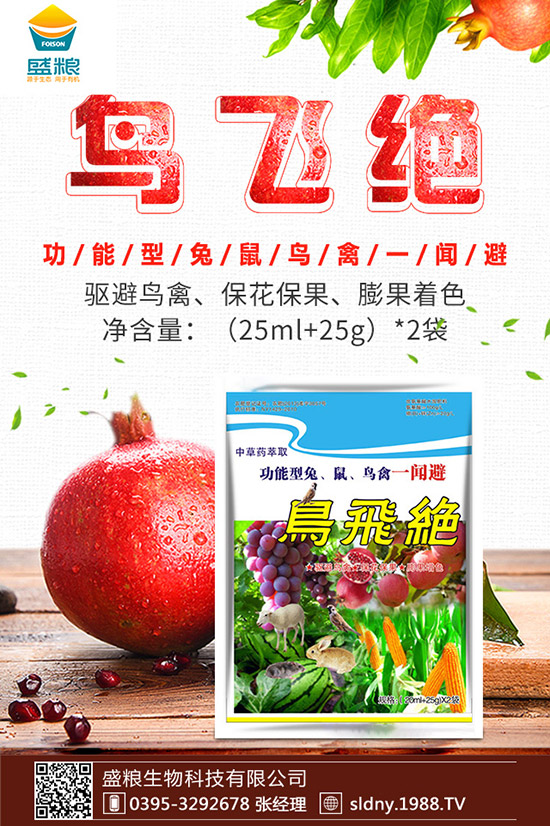 �������t������ڷ����������t���ڷ۷�������Щ��