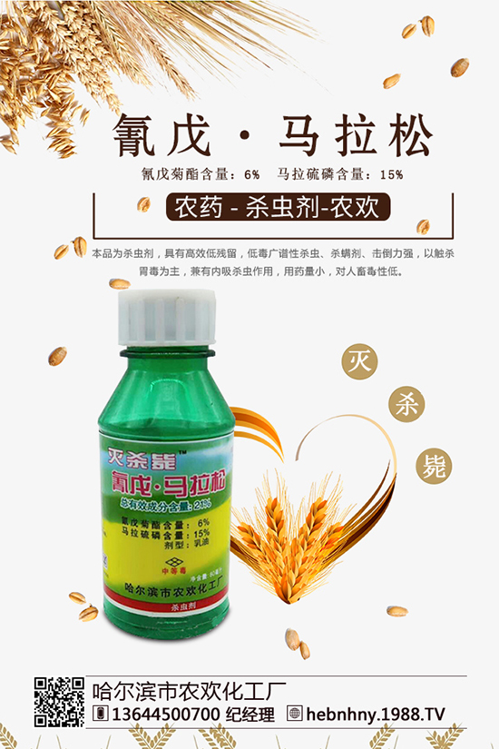 ����������x(ch��ng)���r(ji��)��