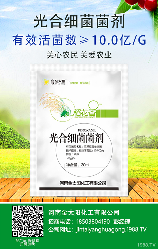 ����������ԭ�����������������k����