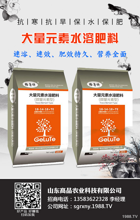 2019��11��12�ձ�������(gu��)��(n��i)⛷������߄�(sh��)�A(y��)�y(c��)��