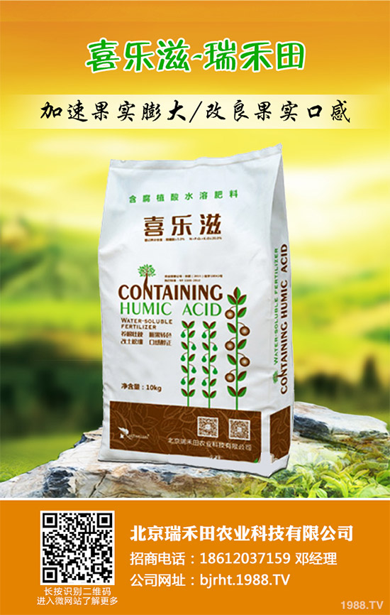 2019��11��12�ս��ո������؏S�҈�(b��o)�r(ji��)�^�m(x��)�µ������غ����A(y��)�y��