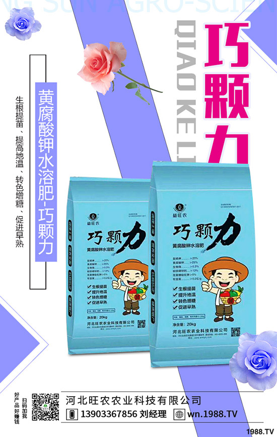 ���؃r(ji��)�����һ�����r(ji��)���»�������2019-11-13���س��S�r(ji��)���A(y��)��(b��o)��