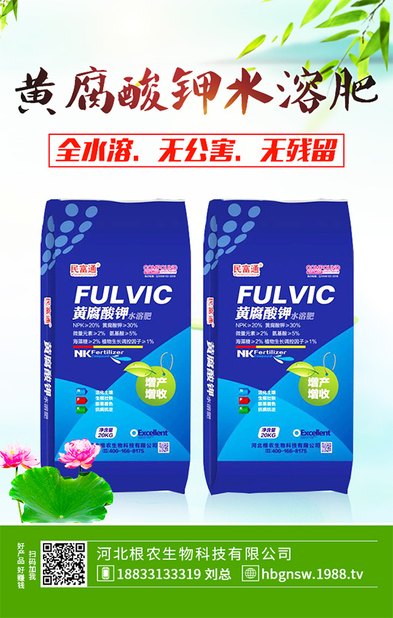 五味子樹該如何種植?五味子規(guī);N植技術