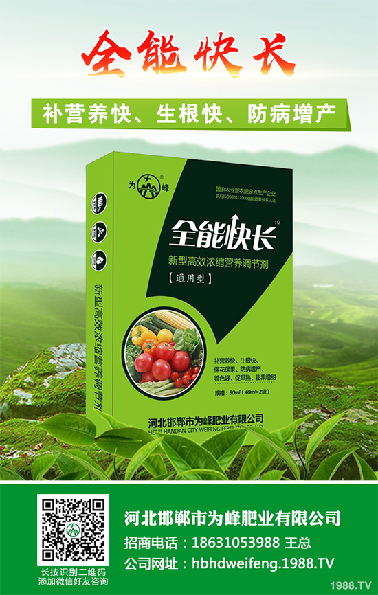 五味子樹該如何種植?五味子規(guī);N植技術