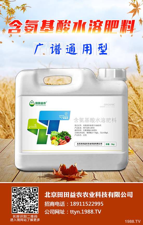 ⛷ʃr(ji��)���^�m(x��)���{(di��o)��⛷ʃr(ji��)������һ�[2019-11-14