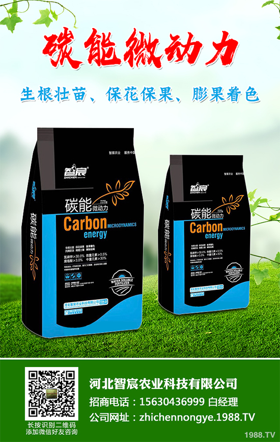 ���������߲˷Nֲԓע��ʲô����ӛ�e�M(j��n)�@�����`�^(q��)