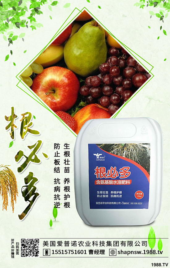 ������ô�������ܸ߮a(ch��n)�����Ӹ߮a(ch��n)�ߴ������ʩ