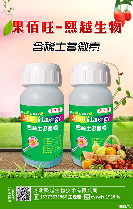 萵筍什么時(shí)候種植,萵筍種植要點(diǎn)有哪些?