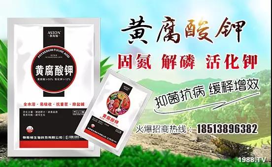 �VԴ�S����⛡�����Ʒ����1����=8���ЙC(j��)�����½�Դ�^ֱ�l(f��)������