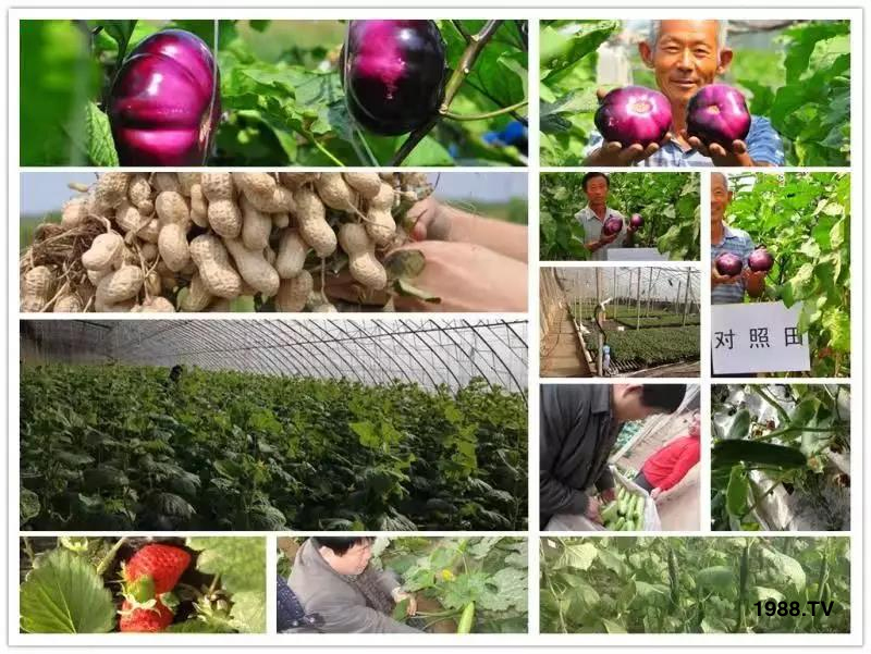 �VԴ�S����⛡�����Ʒ����1����=8���ЙC(j��)�����½�Դ�^ֱ�l(f��)������