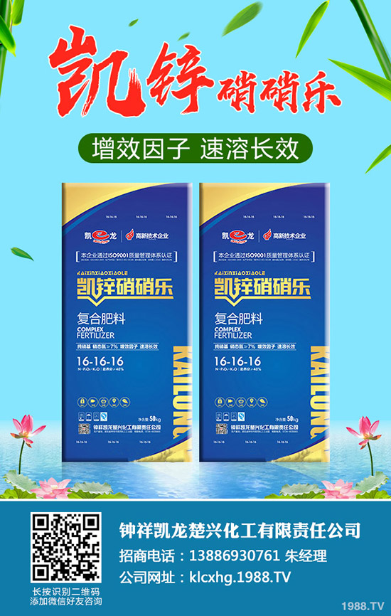 什么是有機(jī)大白菜，有機(jī)大白菜種植要點(diǎn)有哪些？