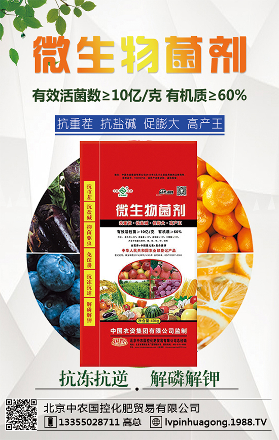 �������r(n��ng)�ٶȔy��1988.TV���y���ل�(chu��ng)���x����