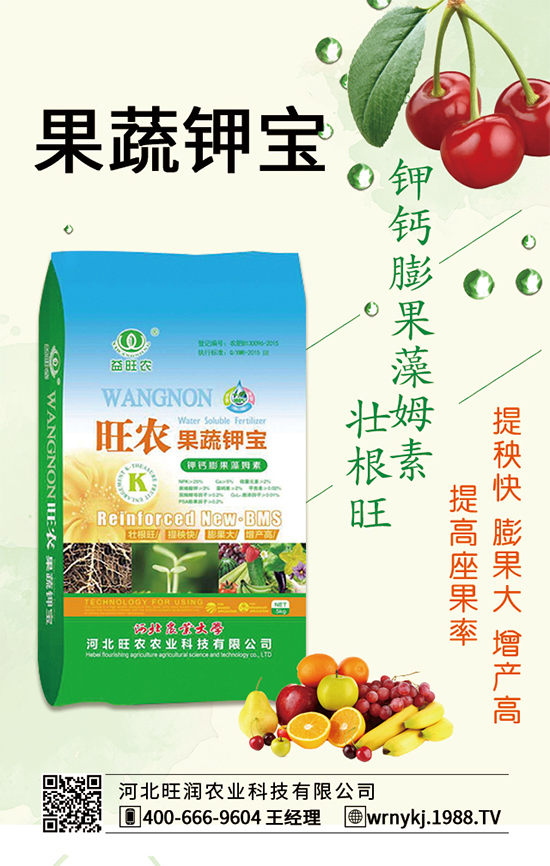 合作關(guān)系再升華,河北旺農(nóng)與1988.TV開啟新篇章!