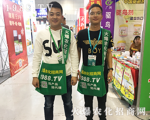     2019ȫ��ֲ�����ו���1988.TV���̟o�ϵK����(sh��)������