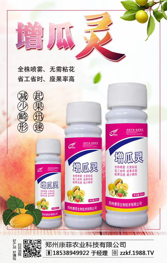 �����Ϲ���ô�Nֲ�������ϹϵķNֲ��Ҫ�c��