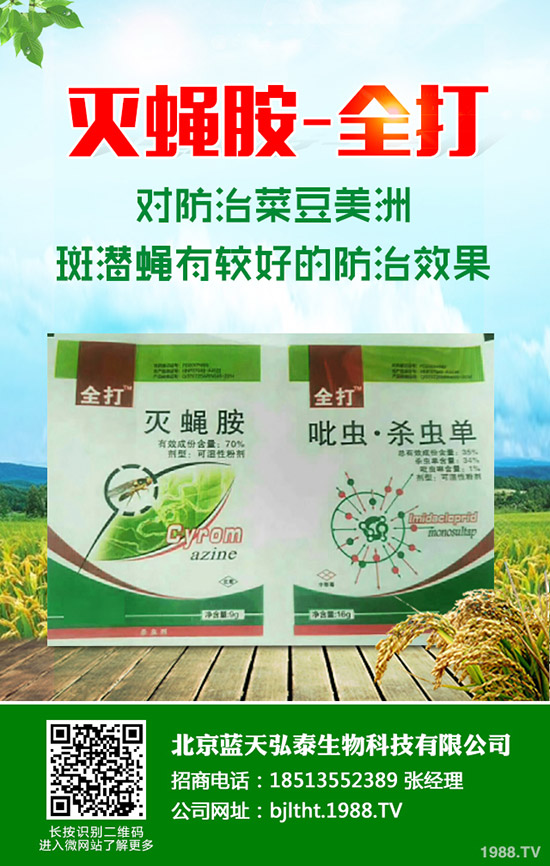 節(jié)瓜是冬瓜嗎?節(jié)瓜如何種植?掌握了這些不會白忙活!