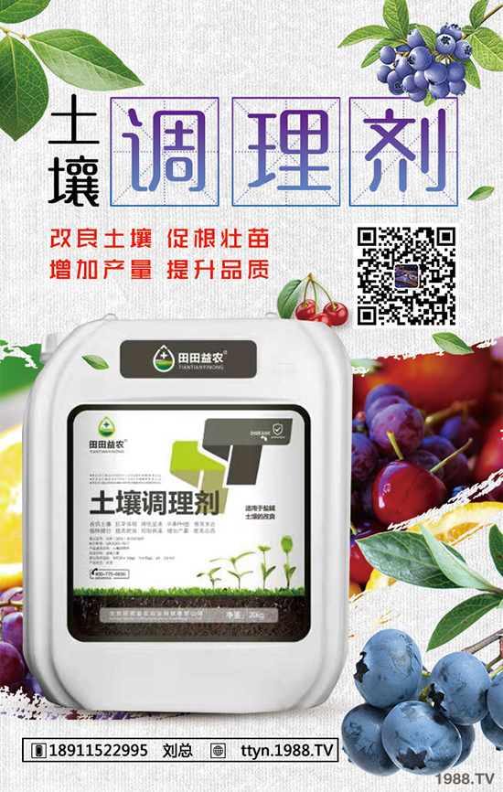 �L����������ô�B(y��ng)���L���������B(y��ng)ֳ����