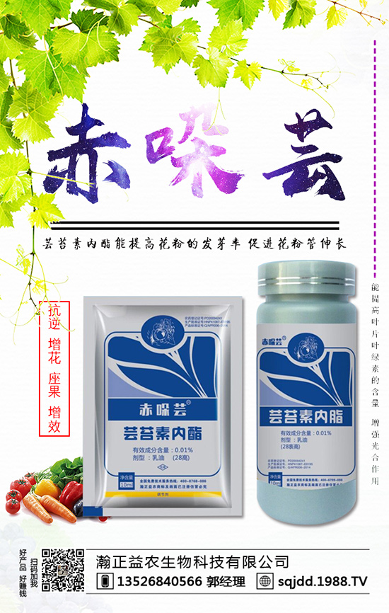 ���t����ʲô����������t��������ķ��η���