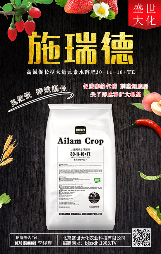 ʯ����ʲô�I(y��ng)�B(y��ng)�r(ji��)ֵ��ʯ������Щʳ�ù�Ч��