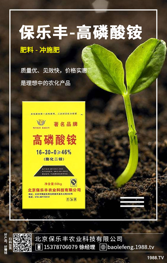 ��(gu��)��(n��i)���@�r(ji��)���(hu��)�ϝq����2019.11.29���ո������@���S��(b��o)�r(ji��)��