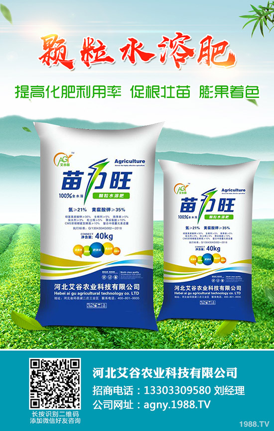 2019-11-30�������¶��@�r(ji��)���Ո�(b��o)��������@��I(y��)���S�����r(ji��)һ�[��