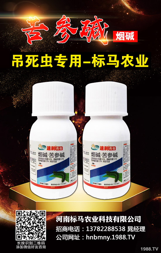 ����(n��i)���x���r(ji��)���Ј������܈�(b��o)2019.11.30