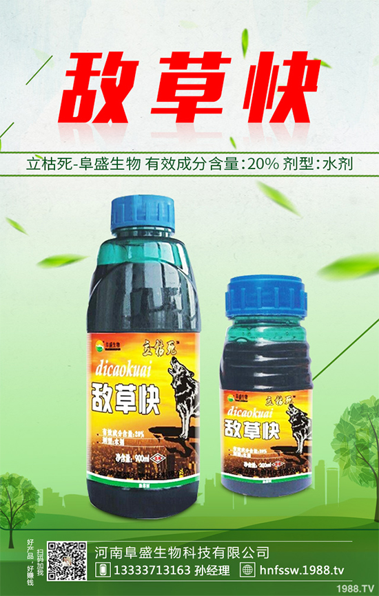 ɣ�@���݄��r��