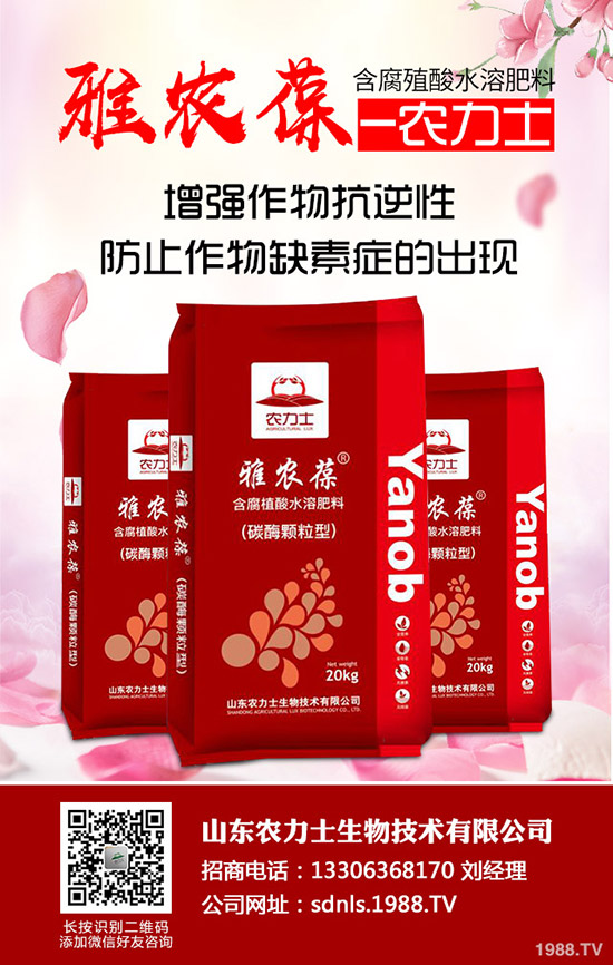     ����(ch��)δ�_(k��i)ʼ�����@����δ�������ն��@���³��S�����r(ji��)��2019-11-5