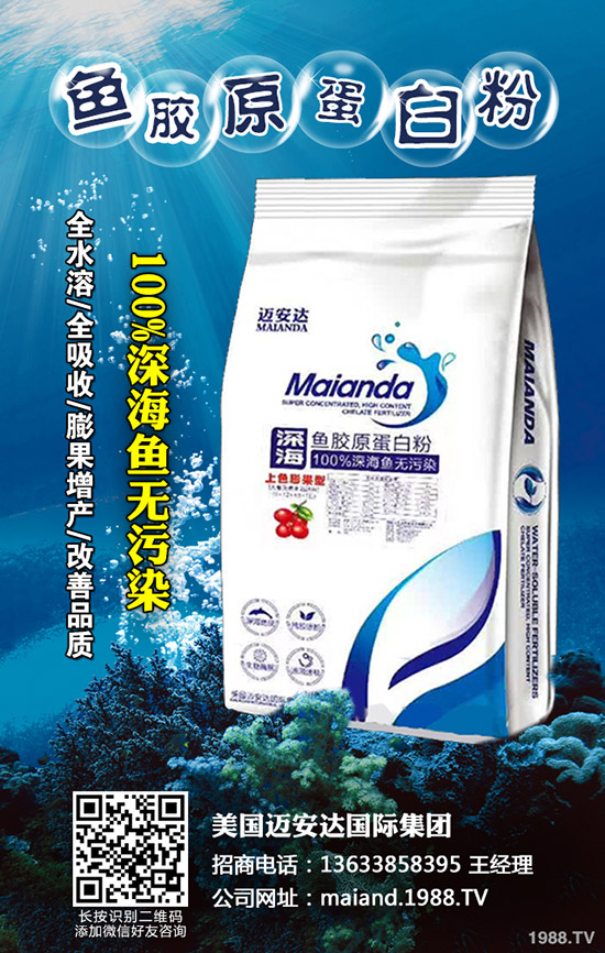     2019��11��6�ս��ո������؏S�҈�r�^�m(x��)�µ������غ����A�y��