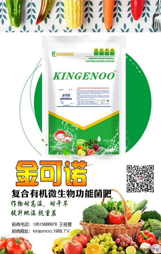 ��(zh��n)�Ժ���������(j��)������Z��(gu��)�H���F(tu��n)�ٺ�1988.TV���y�ֹ���(chu��ng)��(zh��n)��(j��)��