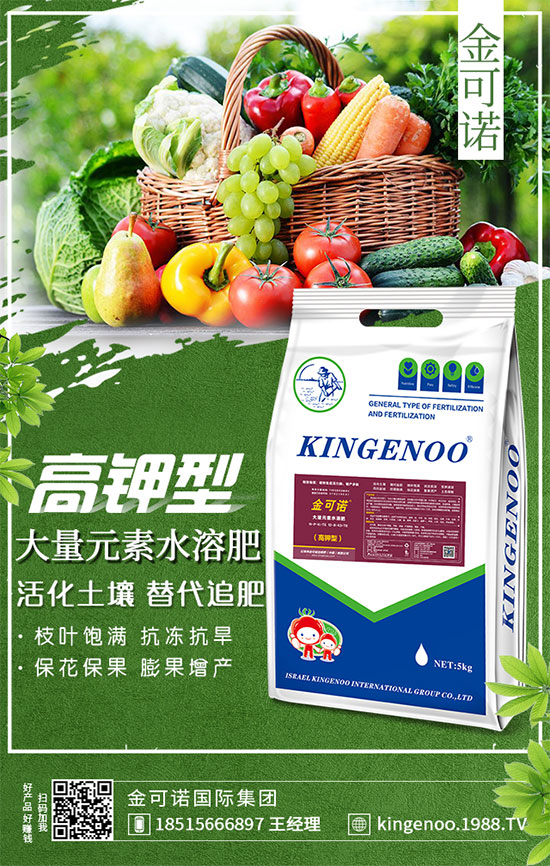 ��(zh��n)�Ժ���������(j��)������Z��(gu��)�H���F(tu��n)�ٺ�1988.TV���y�ֹ���(chu��ng)��(zh��n)��(j��)��