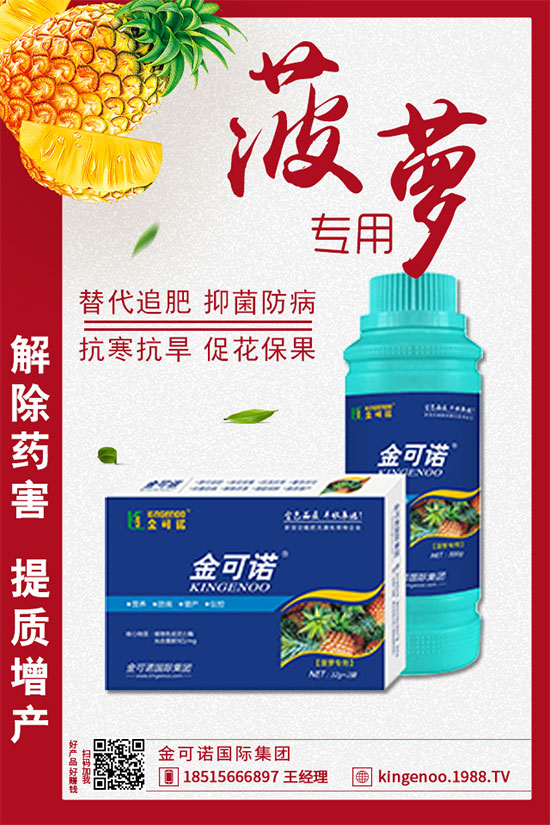 ��(zh��n)�Ժ���������(j��)������Z��(gu��)�H���F(tu��n)�ٺ�1988.TV���y�ֹ���(chu��ng)��(zh��n)��(j��)��