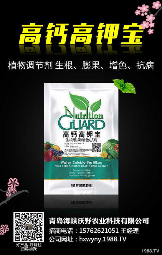 С�����s��ʲô�r(sh��)����θ�����С���s�ݽ�Q������