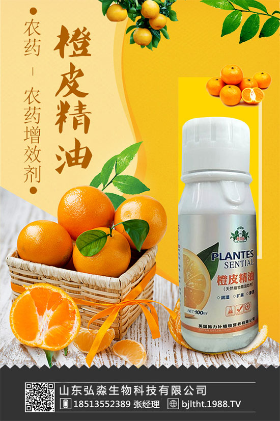 山東弘淼再度攜手1988.TV,攜手共創(chuàng)新戰(zhàn)績!共贏未來!