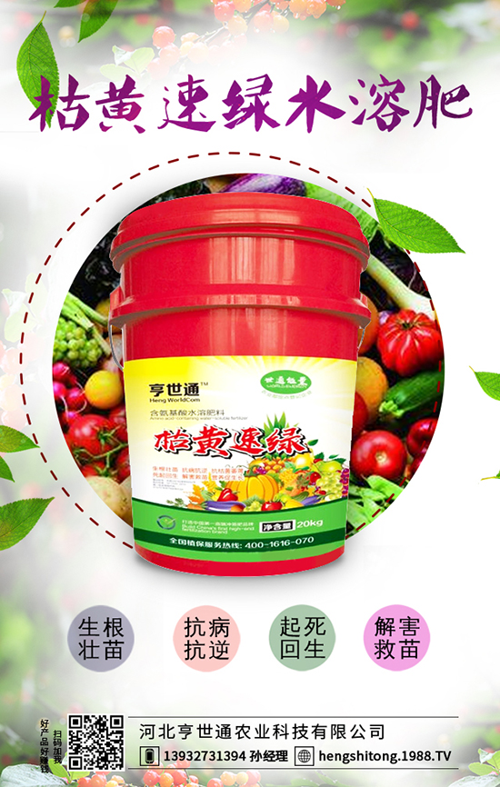 �ӱ�����ͨ�r�I(y��)�Ƽ����޹�˾