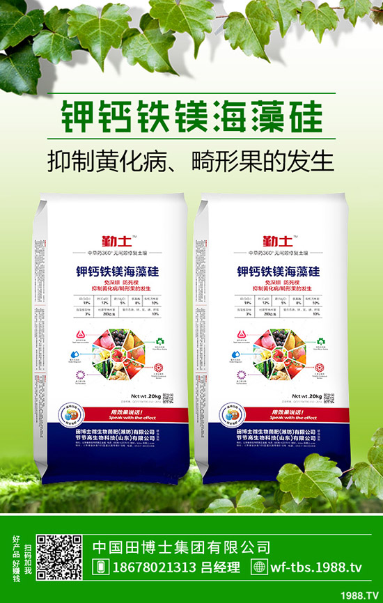     2019��11��8������⛷������߄�(sh��)�A(y��)�y(c��)���Ȼ�⛳��S��(b��o)�r(ji��)һ�[